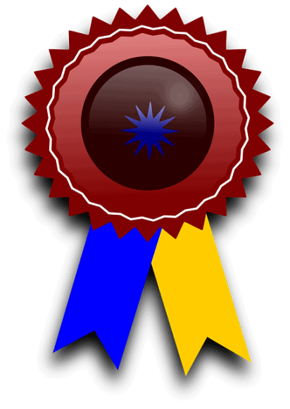 New Award for Historical Middle-Grade Fiction or Nonfiction