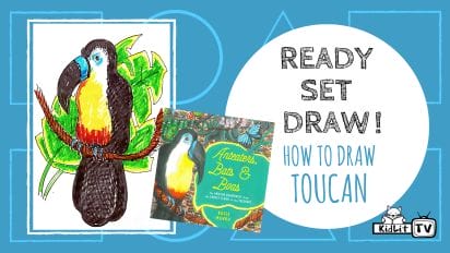 Ready Set Draw! How to Draw a TOUCAN with Roxie Munro