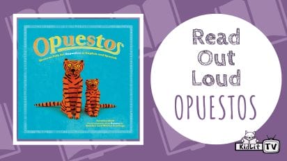 Read Out Loud OPUESTOS by Cynthia Weill